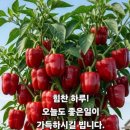 낙은 구두를 선물한 재화공 이미지