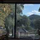 꿀단지펜션 이미지