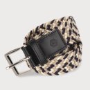 페르시안 캣 이미지