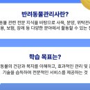 고려동물병원 미용실 | 반려동물 관리사 취업 준비법 최신 가이드