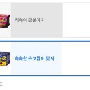 1.7만명이 투표한 칙촉 vs 촉촉한 초코칩 이미지