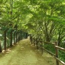 석굴암 화장실 이미지