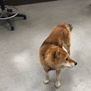 동천동 주민센터 이미지