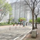 신안아파트후문 이미지