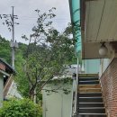오들개민박