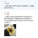 동물이라 더 관심있습니다. 이미지