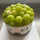 대영카써비스 이미지