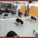 거인합기도 총본관 이미지