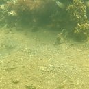 덕산의원 이미지