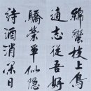 종오농장 티스토리