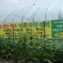 선주농장 이미지