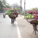 베트남의 향기 이미지