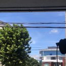 감정카센터 이미지