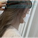 송화로 40 이미지