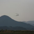 to 아름