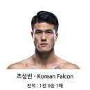 UFC 역대 한국 격투기 선수들의 전적 ㄷㄷ 이미지