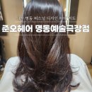 디자인더개인 | [준오헤어 명동예술극장점] 퍼스널 디자인 개인맞춤 커트 레이어드컷 후기