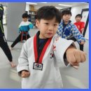 천명 태권도장 | 강남태권도 천명태권도장, 아이들의 놀이터에서 꿈의 발판으로!