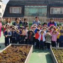 화곡본동주민센터 이미지