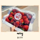 아리농장 | 당진아이랑 가볼만한 곳 딸기 농장 베리힐 체험 후기