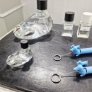 선샤인퍼피 이미지