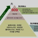 산소황