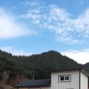 해피데이공인중개사사무소 Daum카페