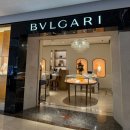 골드드림 | W.24 불가리 디바스 드림 파베 화이트 골드 예물 목걸이 구매 후기