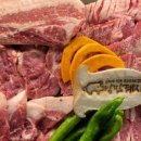 낭만돼지 이미지