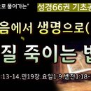 성경66권 기초공사(119)_복음에서 생명으로(5)_성질 죽이는 법(히9:13-14,민19장,요일1:9,벧전1:18-19) 이미지