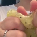 슬랑이 과시타임 이미지