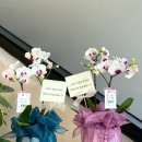 거목가든 이미지