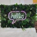 냥이네 목욕탕 이미지