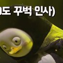 연향LED조명