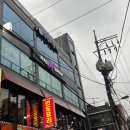 네일포시즌