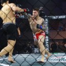 울진군민체육관 이미지