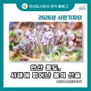 안산-대부-대부-풍도1 | 안산 풍도, 서해에 피어난 봄의 선율