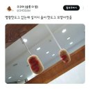 명랑핫도그 이미지