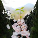 김유신장군로 이미지