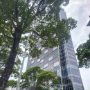 창인F&B | [Accor] 풀만 사이공 센터 대 만족 후기 I - 이그제큐티브 라운지(해피아워, 에프터눈티), 코너 파노라마룸