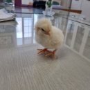 삼덕유치원 이미지