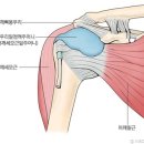 어깨 관절내시경 이미지