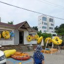 커피고집스