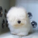 안녕하세요 이미지