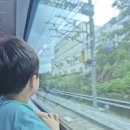 엘에스이브이코리아 앞 | [강원도/춘천] 춘천 레고랜드 연간회원권 구매 방법 (+ 춘천역 셔틀버스 이용방법) 및 후기