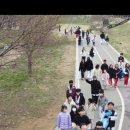 용인대세미태권도장