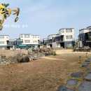 한림오일시장[동] 네이버블로그