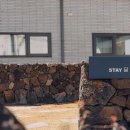 스테이 달 ring 이미지