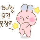 세종의 아침 태권도 이미지