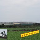 고성리-8 이미지